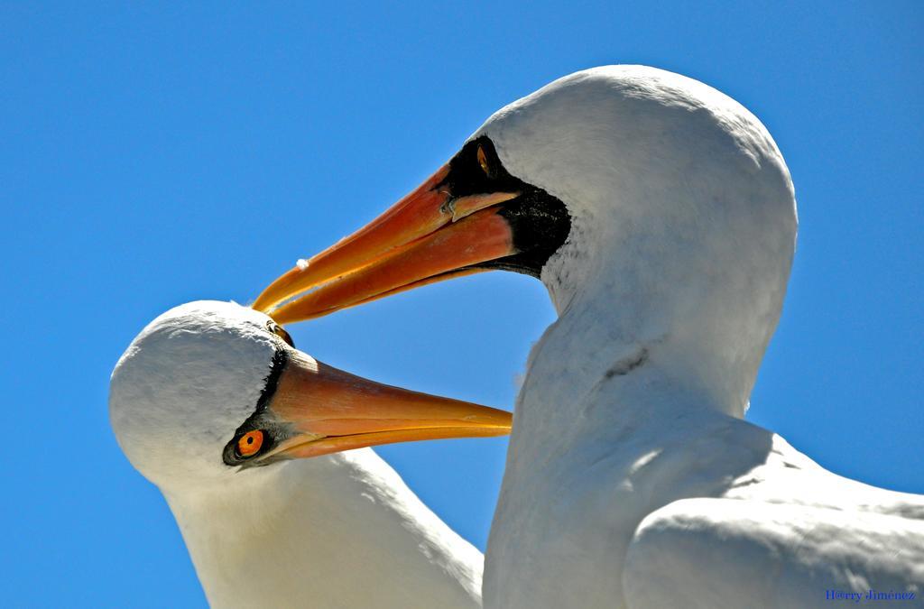 Galapagos Eco Friendly Bed & Breakfast Puerto Baquerizo Moreno Dış mekan fotoğraf