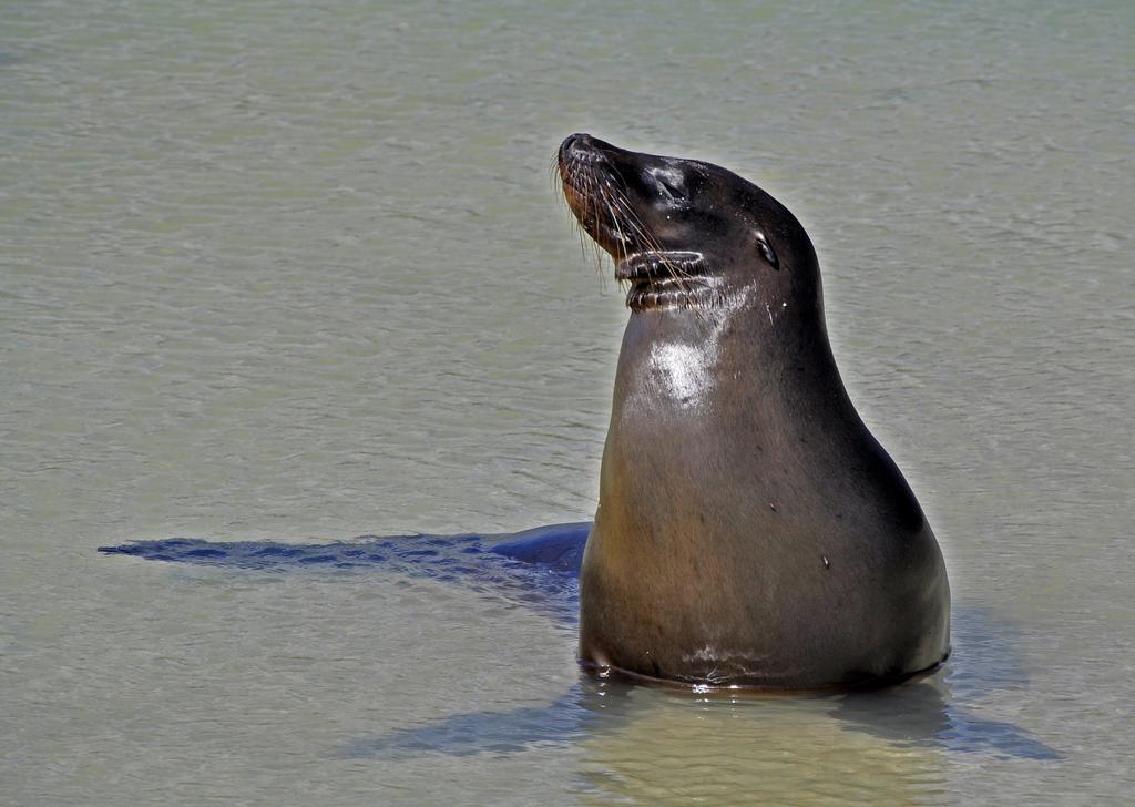 Galapagos Eco Friendly Bed & Breakfast Puerto Baquerizo Moreno Dış mekan fotoğraf